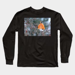 Robin in Winter #3 Long Sleeve T-Shirt